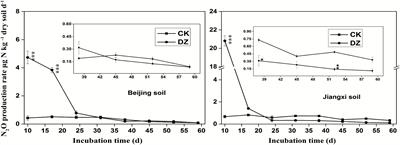 Responses of Nitrogen-Cycling Microorganisms to Dazomet Fumigation